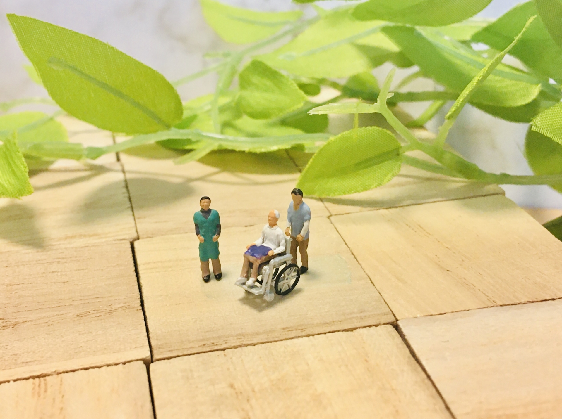 introduction-image-2