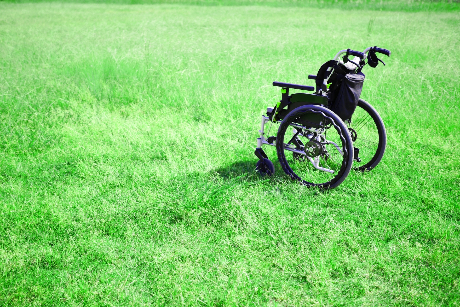 introduction-image-4